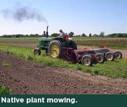 Native plant mowing.